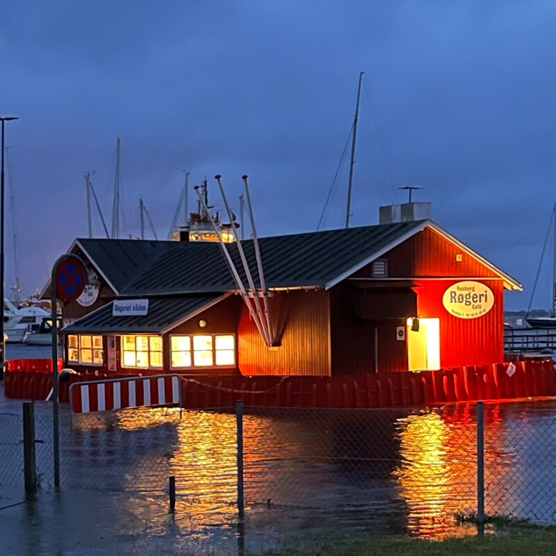 success-story-boxwall-faaborg-denmark-20231020-03-photo-credit-kim-nymand-hansen-danskfugstop success-story-boxwall-faaborg-denmark-20231020-03-photo-credit-kim-nymand-hansen-danskfugstop